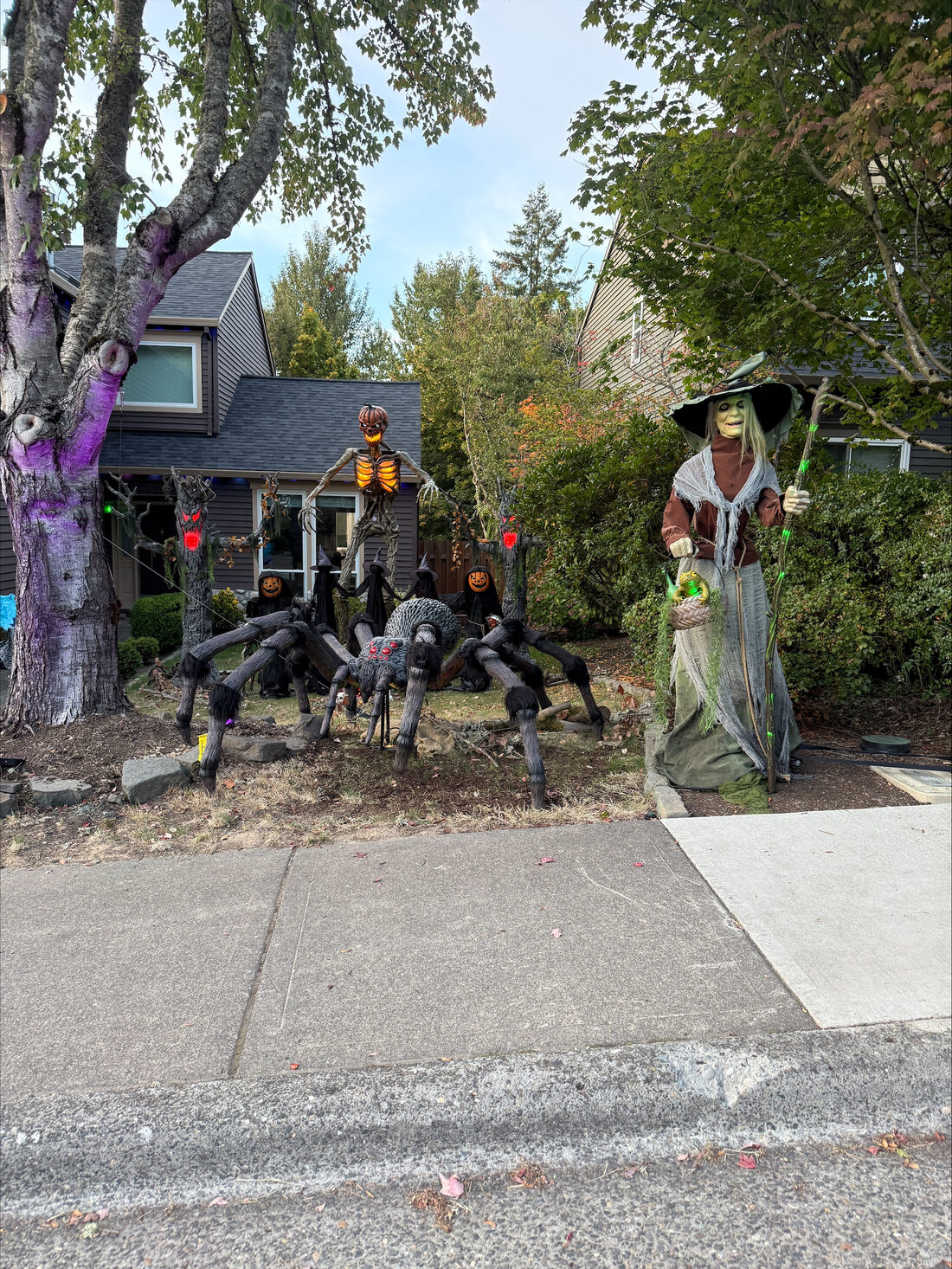 A giant spider, a pumpkin-headed skeleton, a witch and glowing trees in the front yard